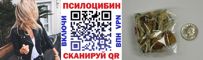 Псилоцибиновые грибы мицелий  Курчалой 